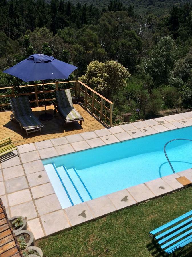 The In Plett Self Cater Apartment *
